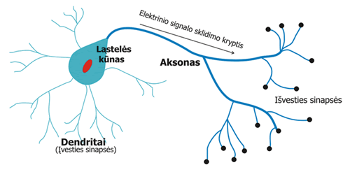 Prekybos sistemų neuroninis tinklas