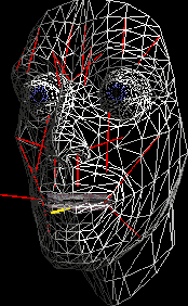 3D veidas