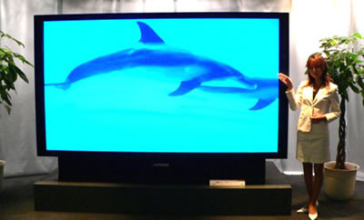 JVC Victor HD-110MH80