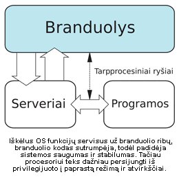 Mikrobranduolys