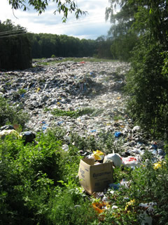 Šiukšlės (Šarūno Mykolaičio nuotr.)