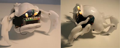 „Crafbu“ mini robotai