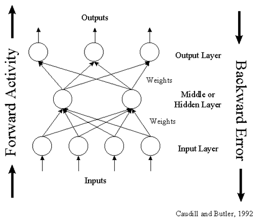 Dirbtinio neuroninio tinklo schema.