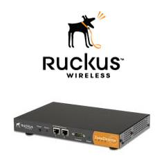 „Ruckus Wireless“