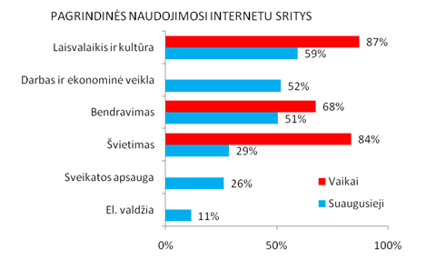 Pagrindinės naudojimosi internetu sritys