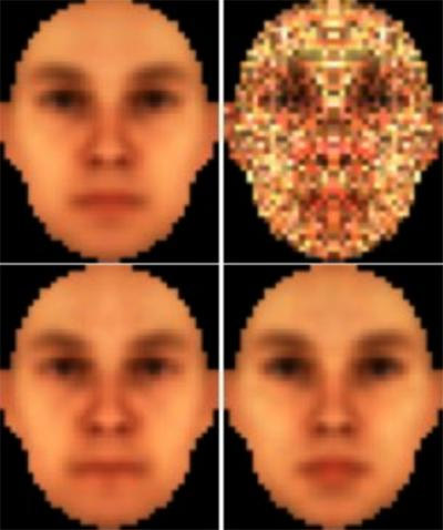 Viršuje kairėje parodytas „vidutinių“ bruožų veidas, padarytas pakoregavus vyrišką (apačioje kairėje) ir moterišką (apačioje dešinėje) veidus. Po to jis dar papildomai padengiamas „vizualiniu triukšmu“ (viršuje dešinėje)