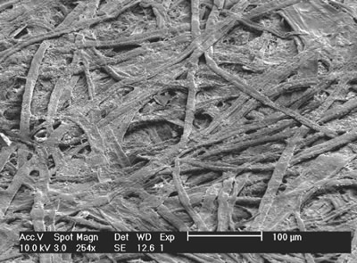 Mikroskopinė popieriaus struktūra 