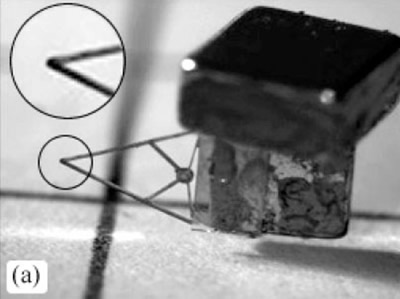 Waterloo Universitete sukurtas mikrorobotas suspaudžia savo mažytį pincetą