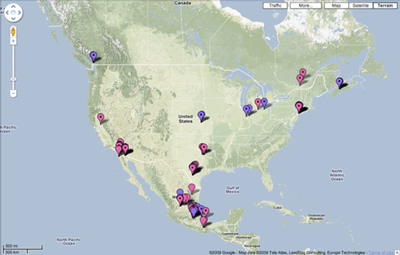 „Google Maps“ kiaulių gripo pandemiją galima sekti realiu laiku