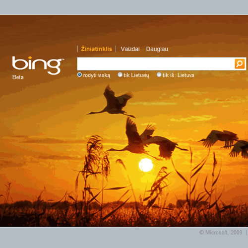 „Bing“