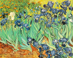 Vincento Van Gogo paveikslas „Irises“