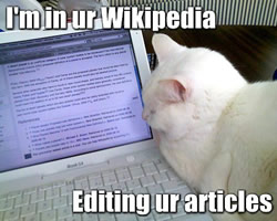 Top 10: didžiausi „Vikipedijos“ nesusipratimai