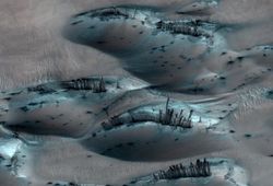 NASA Marse aptiko „medžių“