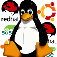 75 proc. „Linux“ kodo rašo apmokami programuotojai