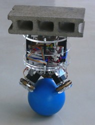 Sukurtas ant kamuolio balansuojantis robotas