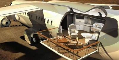 Menininko vizija, kaip turėtų atrodyti „safari lėktuvas“