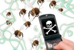 Tyrimas: bites žudo mobilusis ryšys