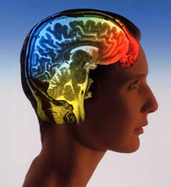 Smegenų skenavimas „gali būti naudojamas žmonių mintims šnipinėti“