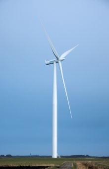 Šilalėje išdygs pirmasis šalyje „Siemens“ vėjo jėgainių parkas