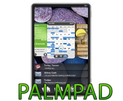 „Palm“ kuria 4G planšetę