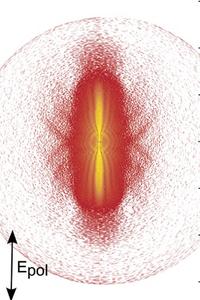 Atomų hologramos, kurias kuria patys elektronai