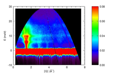 Sukinių išsidėstymas tiriamas pasitelkus neutronus