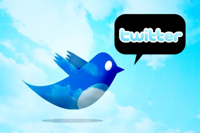 Koks socialinio tinklo „Twitter“ paukščiuko vardas? Koks socialinio tinklo „Twitter“ paukščiuko vardas?