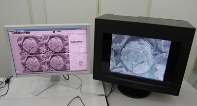Naujas elektroninis mikroskopas leis gauti trimatį vaizdą realiu laiku