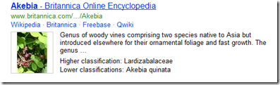„Bing“ paskelbė apie sąjungą su enciklopedija „Britannica Online“ „Bing“ paskelbė apie sąjungą su enciklopedija „Britannica Online“