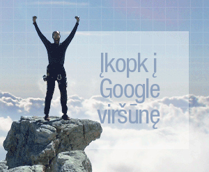 „SEO Challenge 2013“: įkopk į „Google“ viršūnę