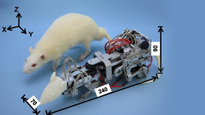 Robotizuota pelė gąsdina tikrąsias