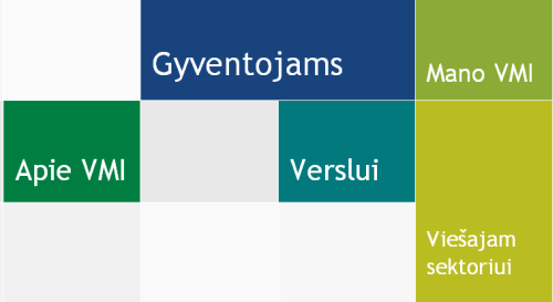 Atnaujintas VMI „elektroninis veidas“