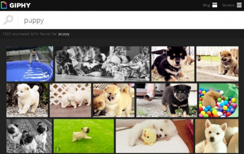 9 paieškos varikliai, siūlantys tai, ko negali „Google“ 9 paieškos varikliai, siūlantys tai, ko negali „Google“
