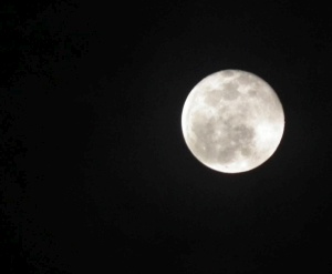 Mėnulyje aptiko kito pasaulio pėdsakų