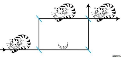 Pagaliau įrodytas „kvantinio Češyro katino“ paradoksas