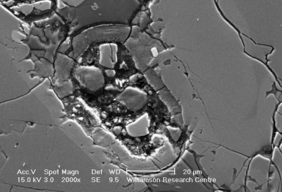 Naujos paslaptys: Marso meteorite rasta į ląstelę panaši ovalinė struktūra