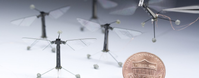 Harvardo mokslininkai sukūrė robotą musę Harvardo mokslininkai sukūrė robotą musę