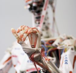 „Eccerobot“ – pirmasis anatominis robotas pasaulyje