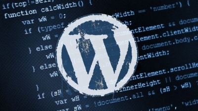 Daugybė „WordPress“ puslapių pavojuje dėl įskiepio „Slimstat“