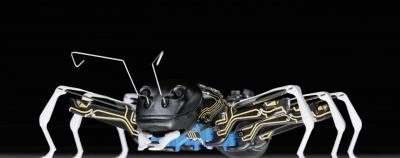 „BionicANTs“ – bendradarbiaujančios robotinės skruzdės