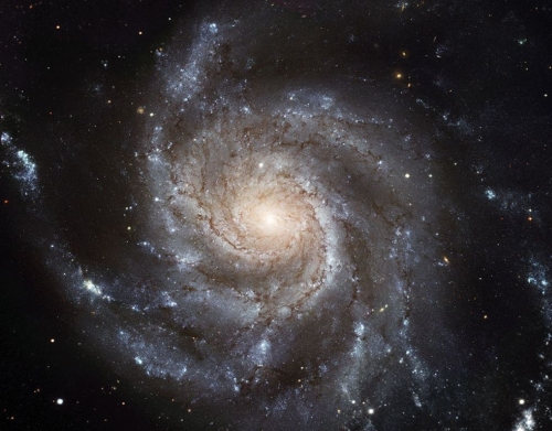Gyvybės paieška Visatoje: kokios galaktikos tinkamos jai atsirasti