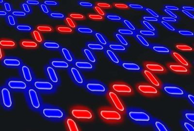Sukurti gamtoje natūraliai neaptinkamų savybių magnetukai Sukurti gamtoje natūraliai neaptinkamų savybių magnetukai