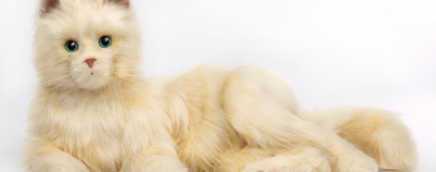„Нasbro Companion Pet Cat“ – neįtikėtinai realistiškas robotas-katinas