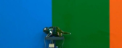 Maskavimosi meistras – robotas chameleonas iš Kinijos