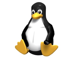 Prieš ketvirtį amžiaus sukurta „Linux“ OS