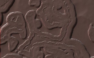 NASA nufotografavo šalčiausią Marso tašką, sukaustytą 130 laipsnių speigo