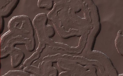 NASA nufotografavo šalčiausią Marso tašką, sukaustytą 130 laipsnių speigo NASA nufotografavo šalčiausią Marso tašką, sukaustytą 130 laipsnių speigo
