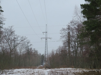 Kuršių nerijoje elektros oro linijas pakeis požeminiai kabeliai