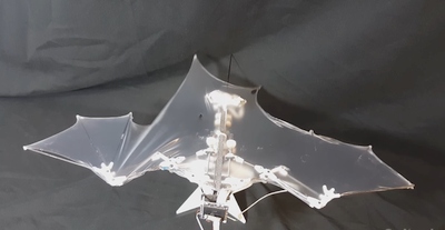 Gana šiurpiai atrodantis robotas-šikšnosparnis gali padėti kurti saugesnius ir efektyvesnius ateities dronus