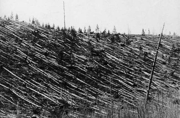 Katastrofos Tunguskoje paslaptis: kas nutiko 1908 m. birželio 30-ąją?